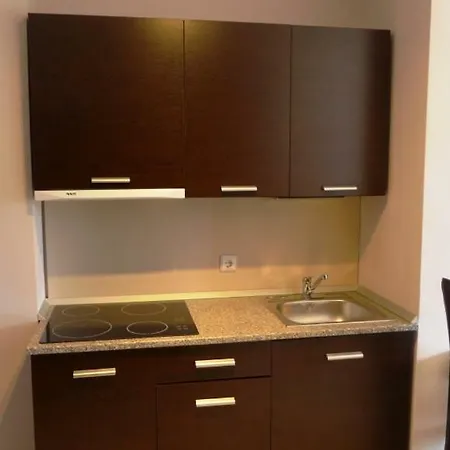 Διαμέρισμα Private Studio In Green Life Μπάνσκο